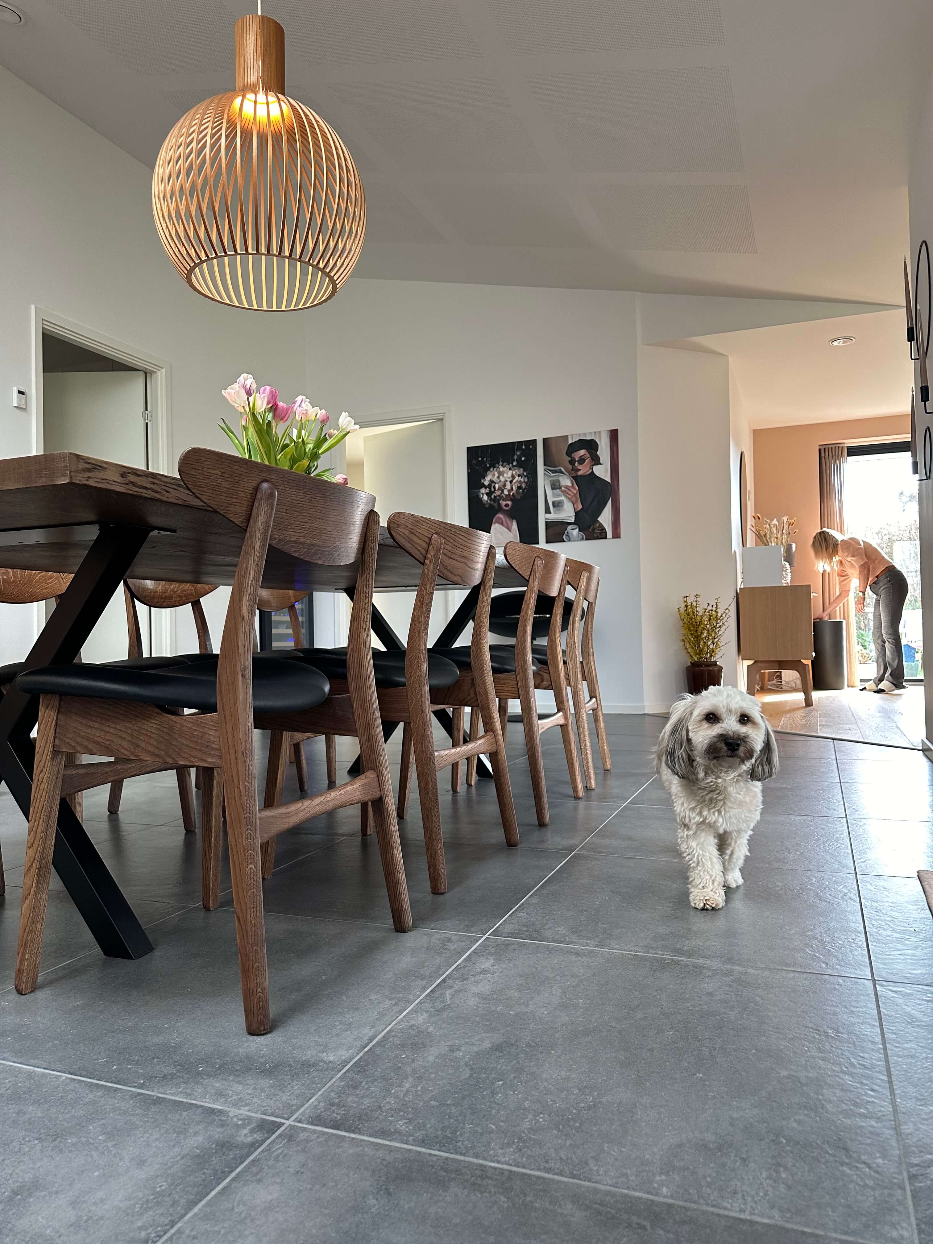 Flotte mørkolieret egetræsstole med sorte læderhynder